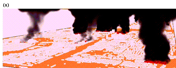 Fig. 15 Smoke effects displayed in Smokeview: a global view, b local view