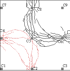 Crack patterns at top and bottom surfaces of the slab: (a) top surface cracks at IC; (b) top surface cracks at FPL; (c) top surface cracks at final stage; (d) bottom surface cracks at final stage.